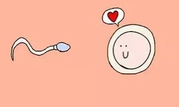 2026年Zhordania医院试管婴儿费用明细一览表