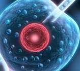 (湛江试管)湛江正规生殖医院做一次试管要多长时间