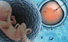 2026国内试管婴儿医院成功率排名