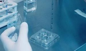 2026山东潍坊助孕机构哪家好？做试管婴儿费用是多少？