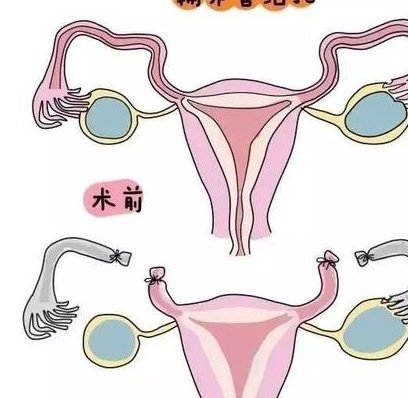 2026南昌市三大助孕公司介绍，优选高成功率助孕机构