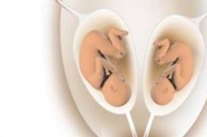 2026宜兴正规助孕公司排名揭晓：您的信赖之选！